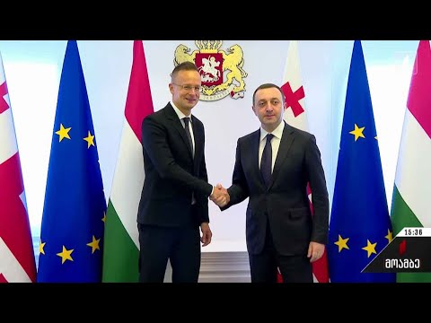 პრემიერი უნგრეთის საგარეო საქმეთა მინისტრს შეხვდა